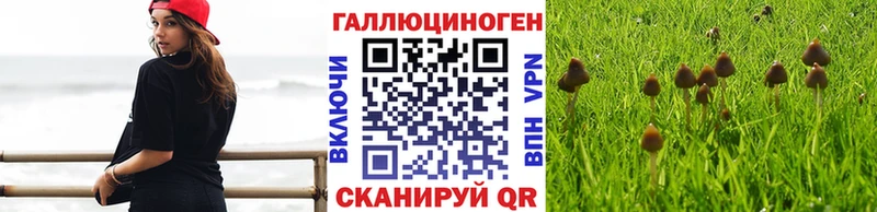 цена наркотик  Старый Оскол  Галлюциногенные грибы мухоморы 